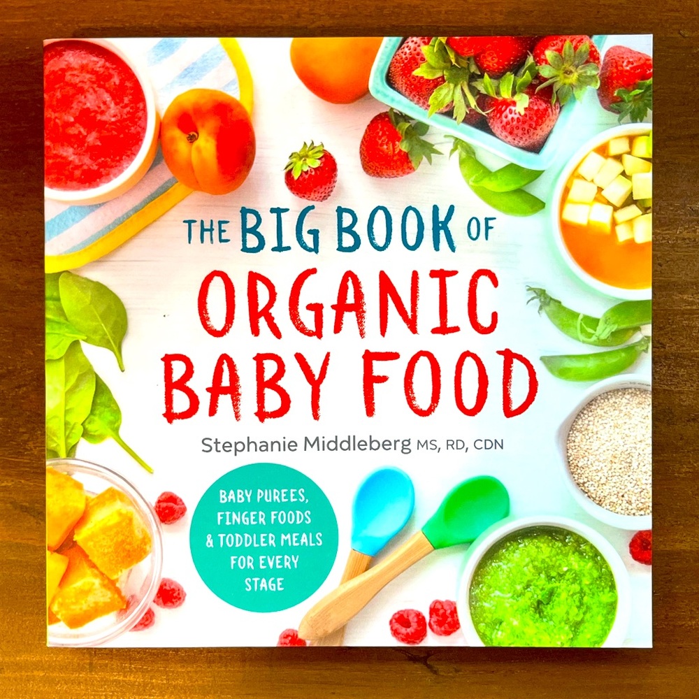 4 for $20 🦋 The Big Book Of Organic Baby Food Book